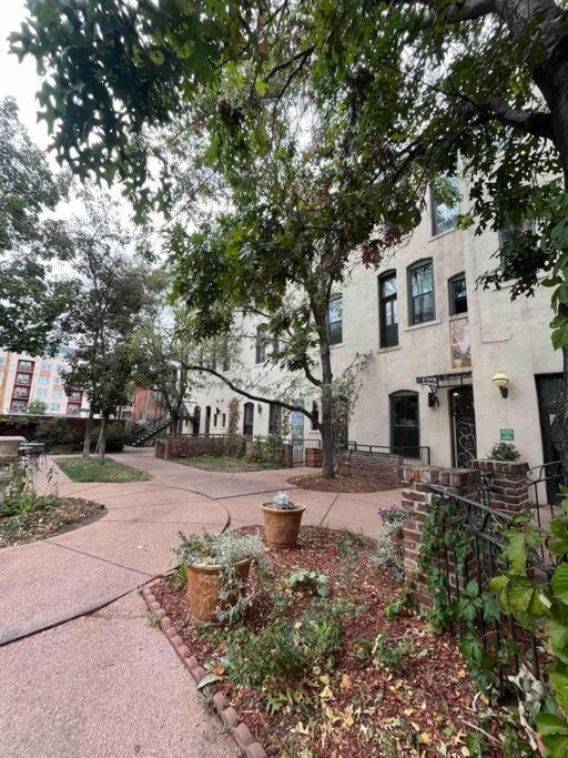 Affordable & Chic Rino/Lodo/Dtown Loft- Walkable Apartment DEN Екстериор снимка